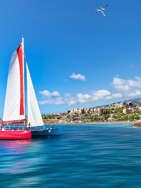 Maxicat catamaran sailing near Tenerife coast with scenic view of mountains and buildings.