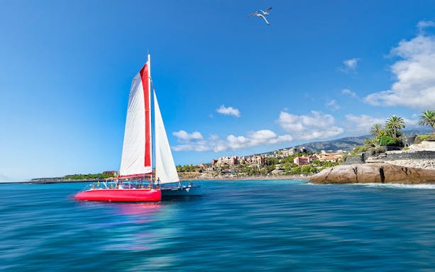 Maxicat catamaran sailing near Tenerife coast with scenic view of mountains and buildings.