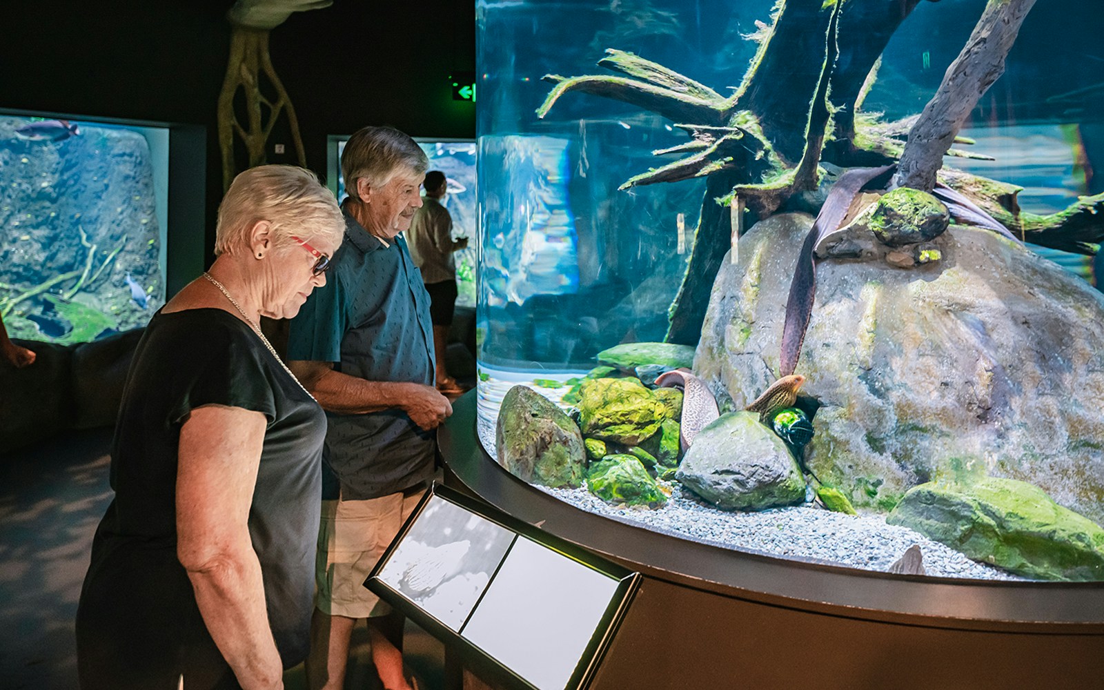 Visitors observing marine life at Cairns Aquarium exhibit.