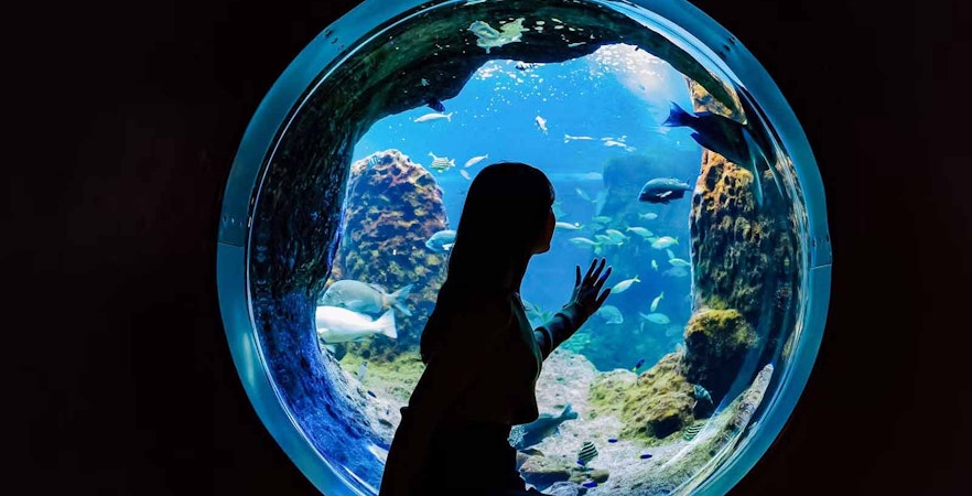 Enoshima Aquarium