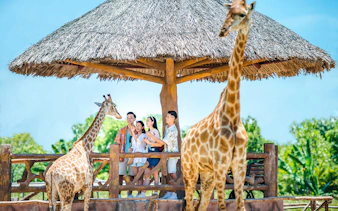 tickets für den themenpark vinwonders nam hoi an inklusive privatem hin- und rücktransfer-4