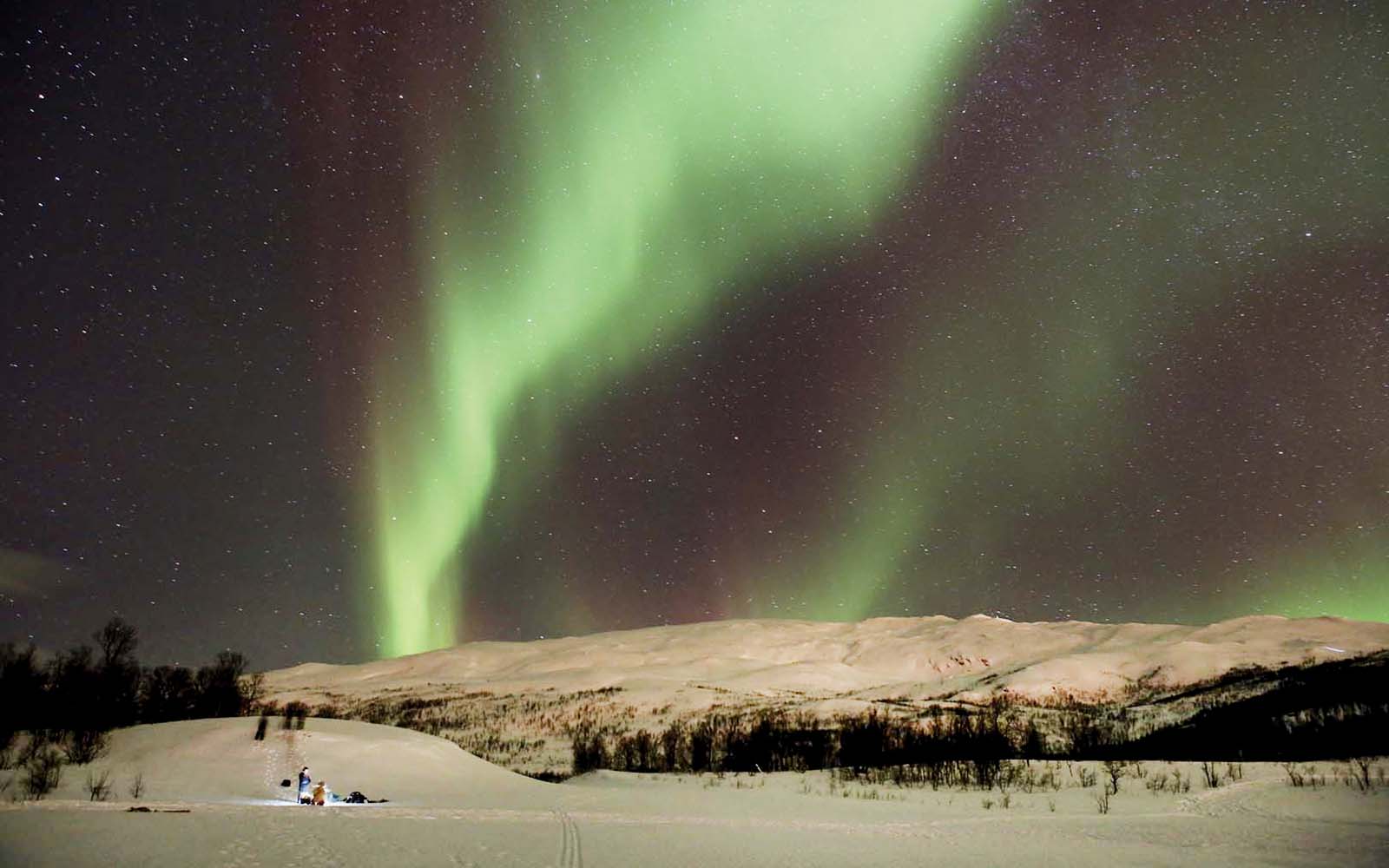 Reindeer sledding under Northern Lights in Tromso, Norway.