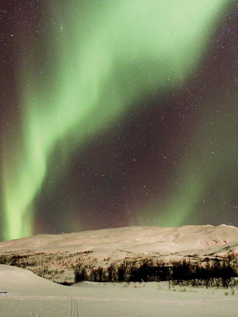 Reindeer sledding under Northern Lights in Tromso, Norway.