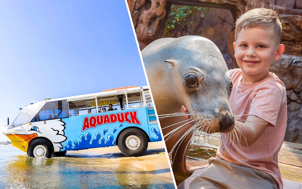 Aquaduck vehicle on Sunshine Coast beach and child with seal at SEA LIFE Sunshine Coast.