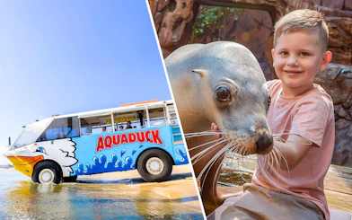 Aquaduck vehicle on Sunshine Coast beach and child with seal at SEA LIFE Sunshine Coast.