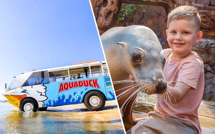 Aquaduck vehicle on Sunshine Coast beach and child with seal at SEA LIFE Sunshine Coast.