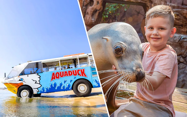 Combo: Aquaduck Sunshine Coast City Tour & River Cruise + SEA LIFE Tickets
