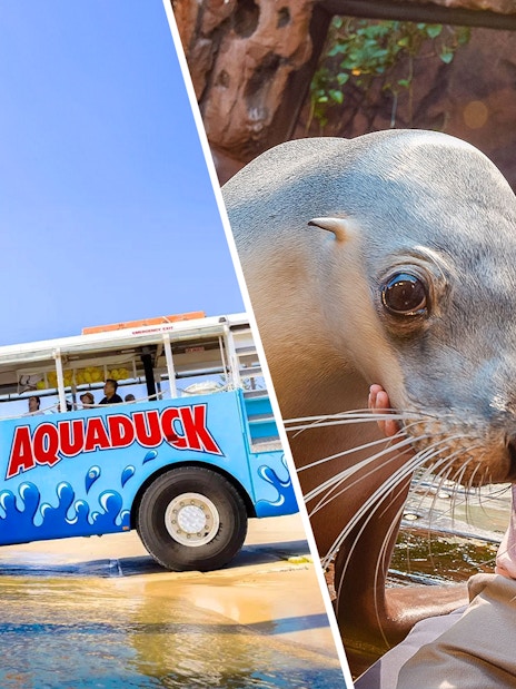 Aquaduck vehicle on Sunshine Coast beach and child with seal at SEA LIFE Sunshine Coast.