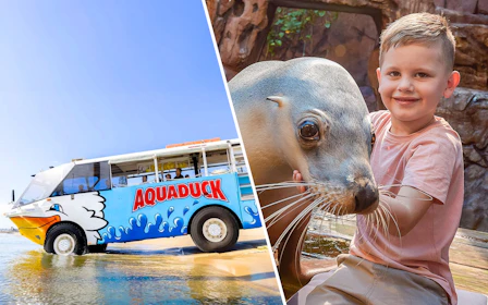 Combo: Aquaduck Sunshine Coast City Tour & River Cruise + SEA LIFE Tickets