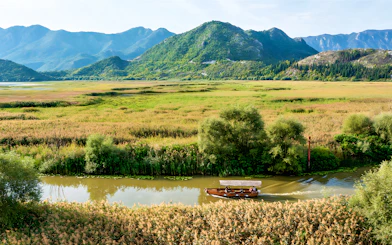 Wooden boat on guided sightseeing tour through Lake Skadar's lush landscape.
