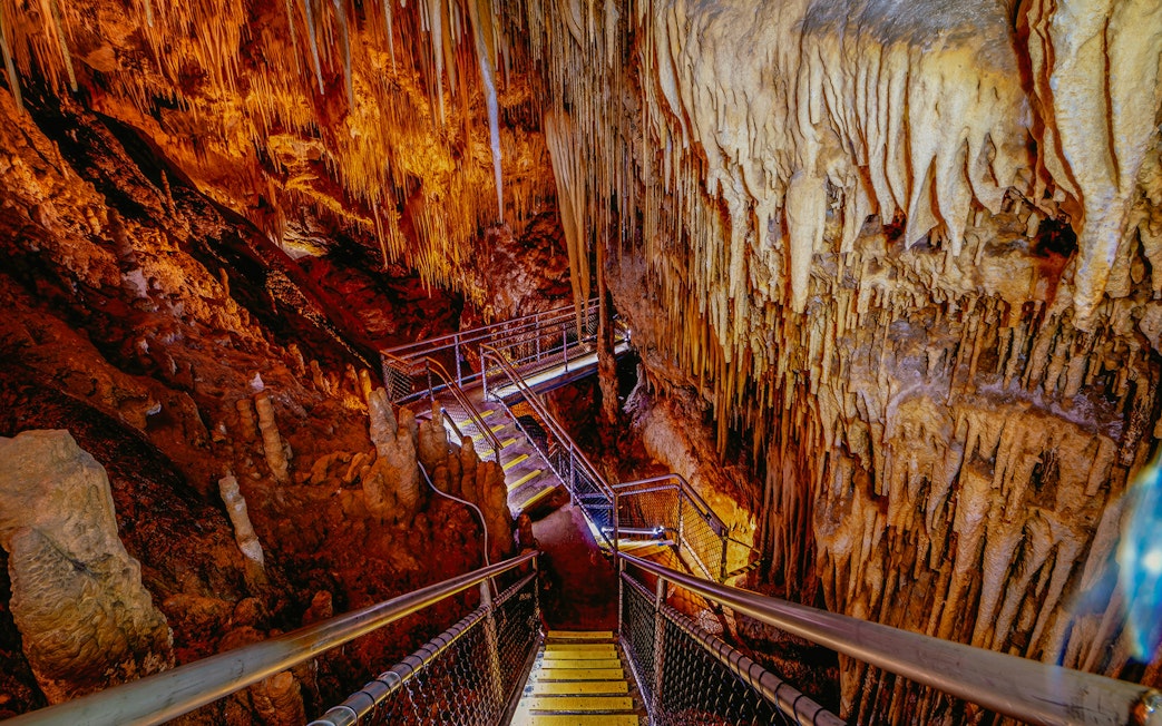 Staircase leading through stalactites and stalagmites in Hastings Caves, Tasmania.