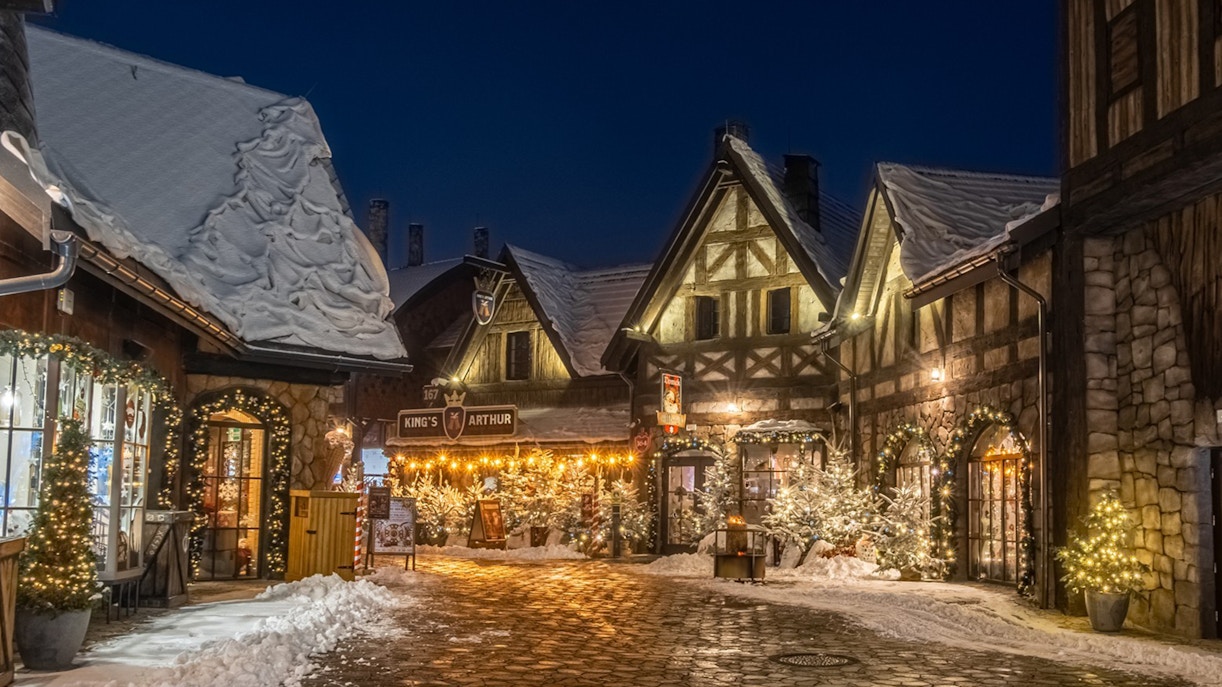 Ingressos para Energylandia