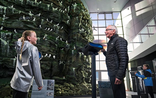 Visitors observing bird cliff exhibit at Perlan, Wonders of Iceland.