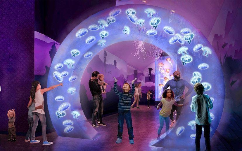 Visitors enjoying jellyfish exhibit at SeaWorld San Diego.
