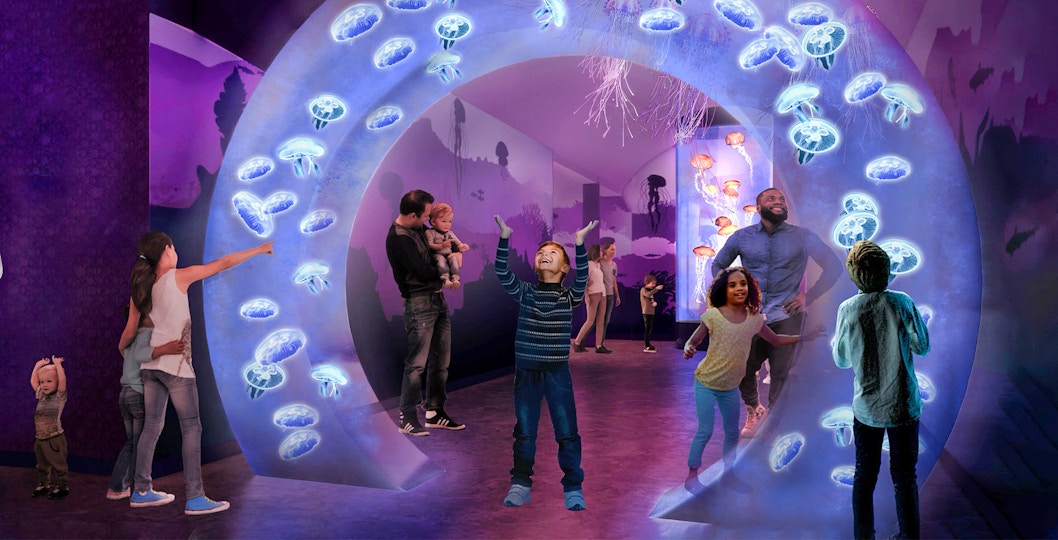 Visitors enjoying jellyfish exhibit at SeaWorld San Diego.