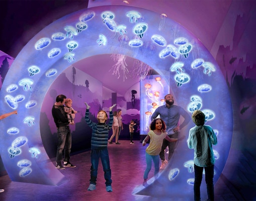 Visitors enjoying jellyfish exhibit at SeaWorld San Diego.