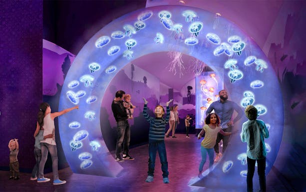 Visitors enjoying jellyfish exhibit at SeaWorld San Diego.