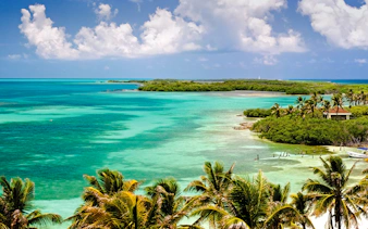 Tropical coastline with palm trees and turquoise waters in Cancun.
