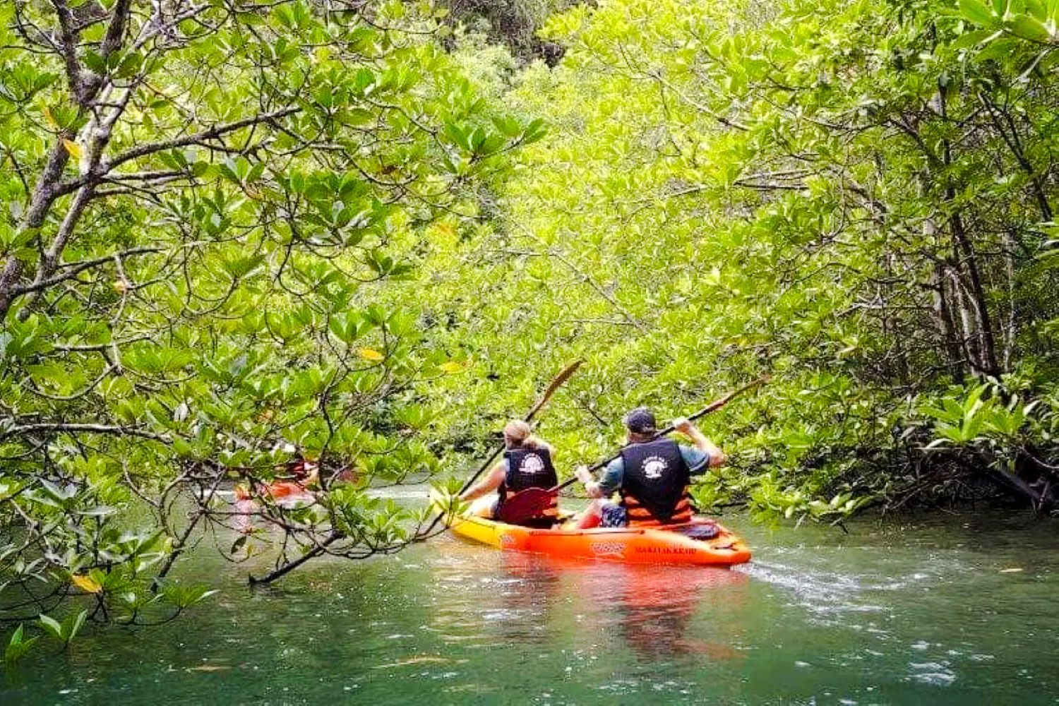 Kayakers paddling through mangrove forest in Ao Thalane, Krabi.