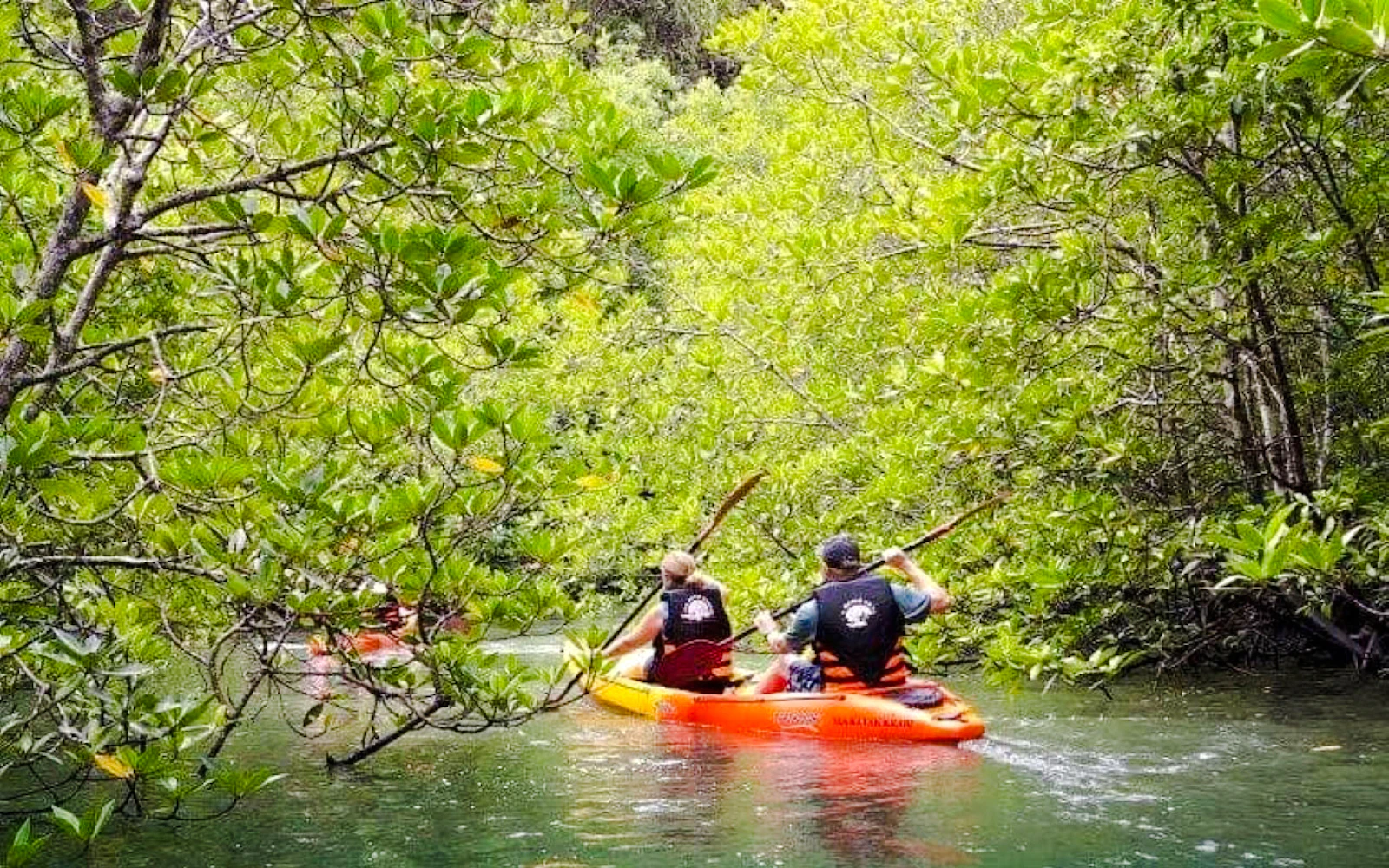 Krabi Ao Thalane Mangrove Kayaking Tour with Hotel Transfers