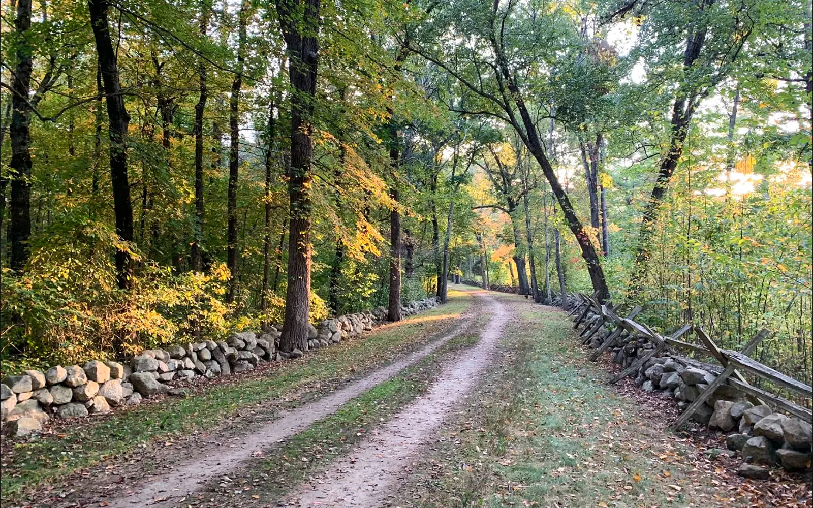 Dirt path through wooded area with stone walls on Battle Road Trail, Boston.