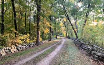 Dirt path through wooded area with stone walls on Battle Road Trail, Boston.