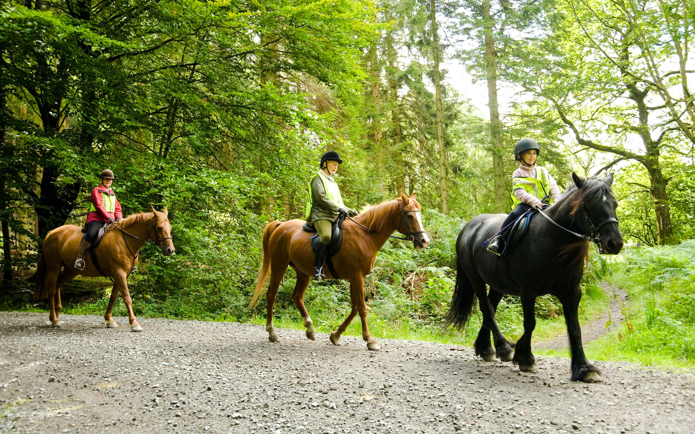 Belek Horse Riding with Transfers and Pony Option Image 6
