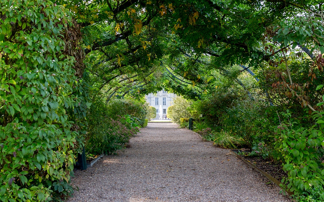 Pathway through lush greenery leading to Chavenry Castle Orangerie.