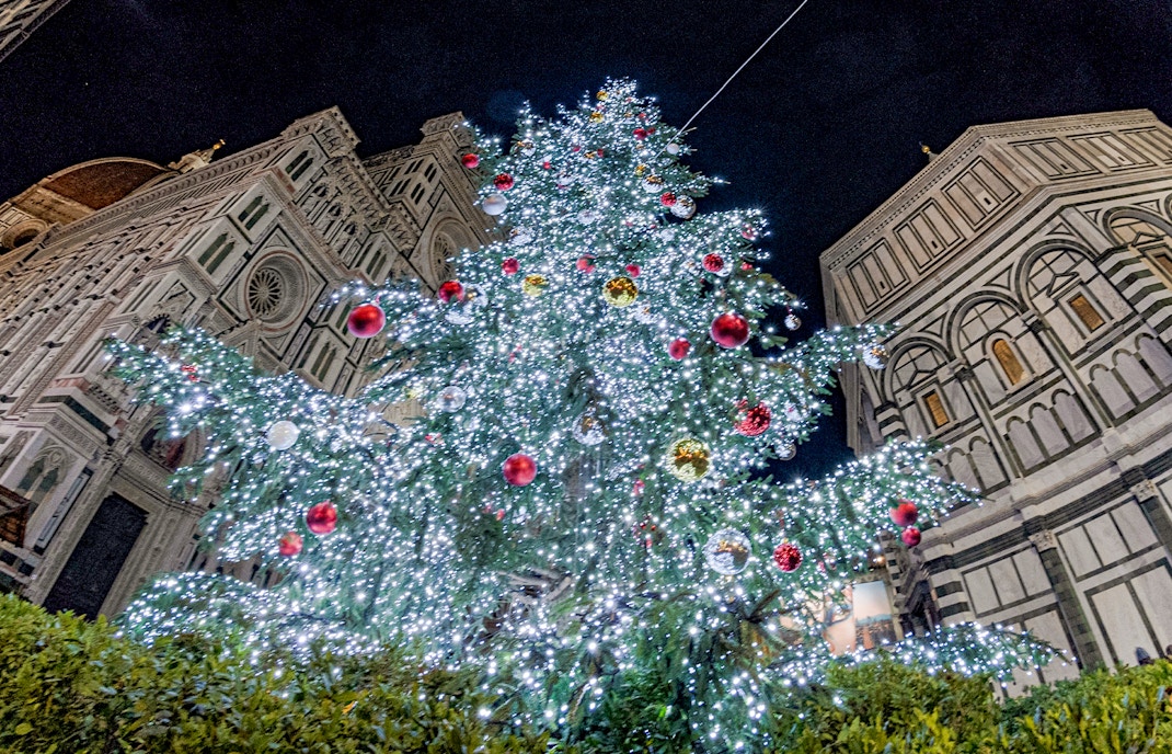 Attend the Christmas Tree lighting