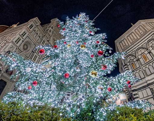 Attend the Christmas Tree lighting