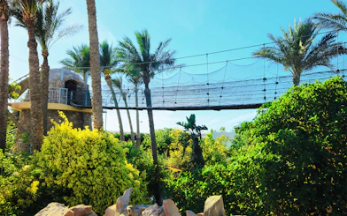 Rope bridge and lush greenery at Hurghada Grand Aquarium, Egypt.