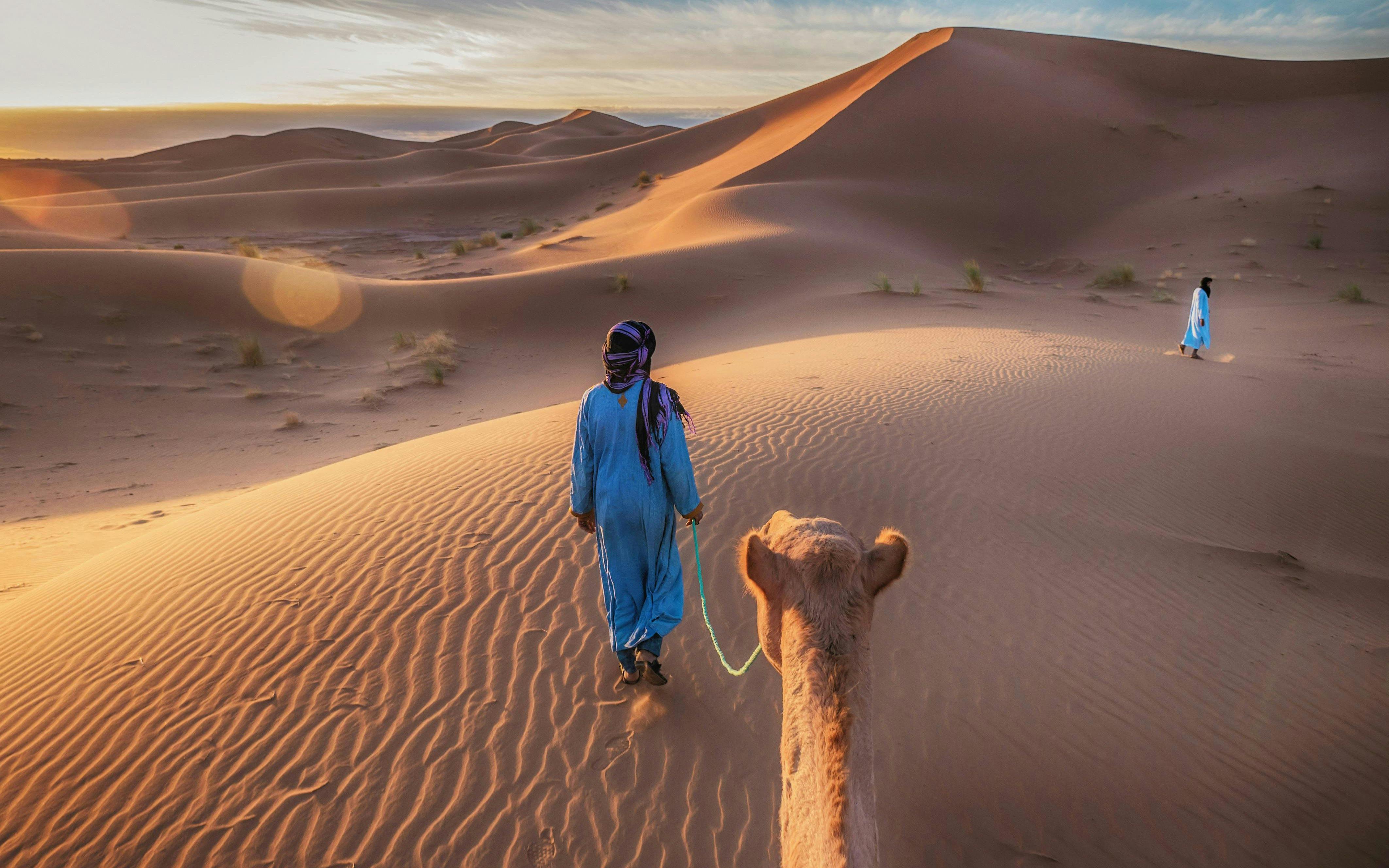 Person leading camel across Sahara Desert dunes at sunrise, Morocco.