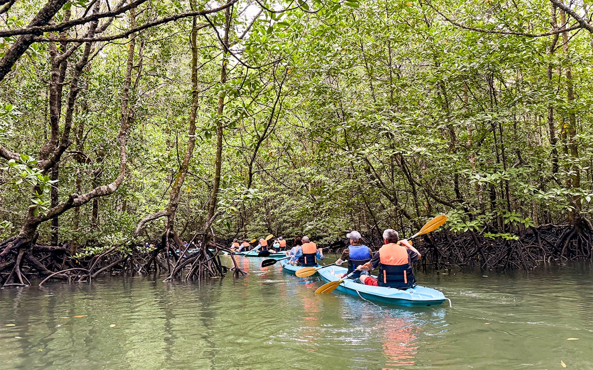 Kayakers navigating mangrove forest in Kilim Geoforest Park on a rainy day.