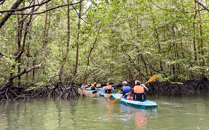Kayakers navigating mangrove forest in Kilim Geoforest Park on a rainy day.