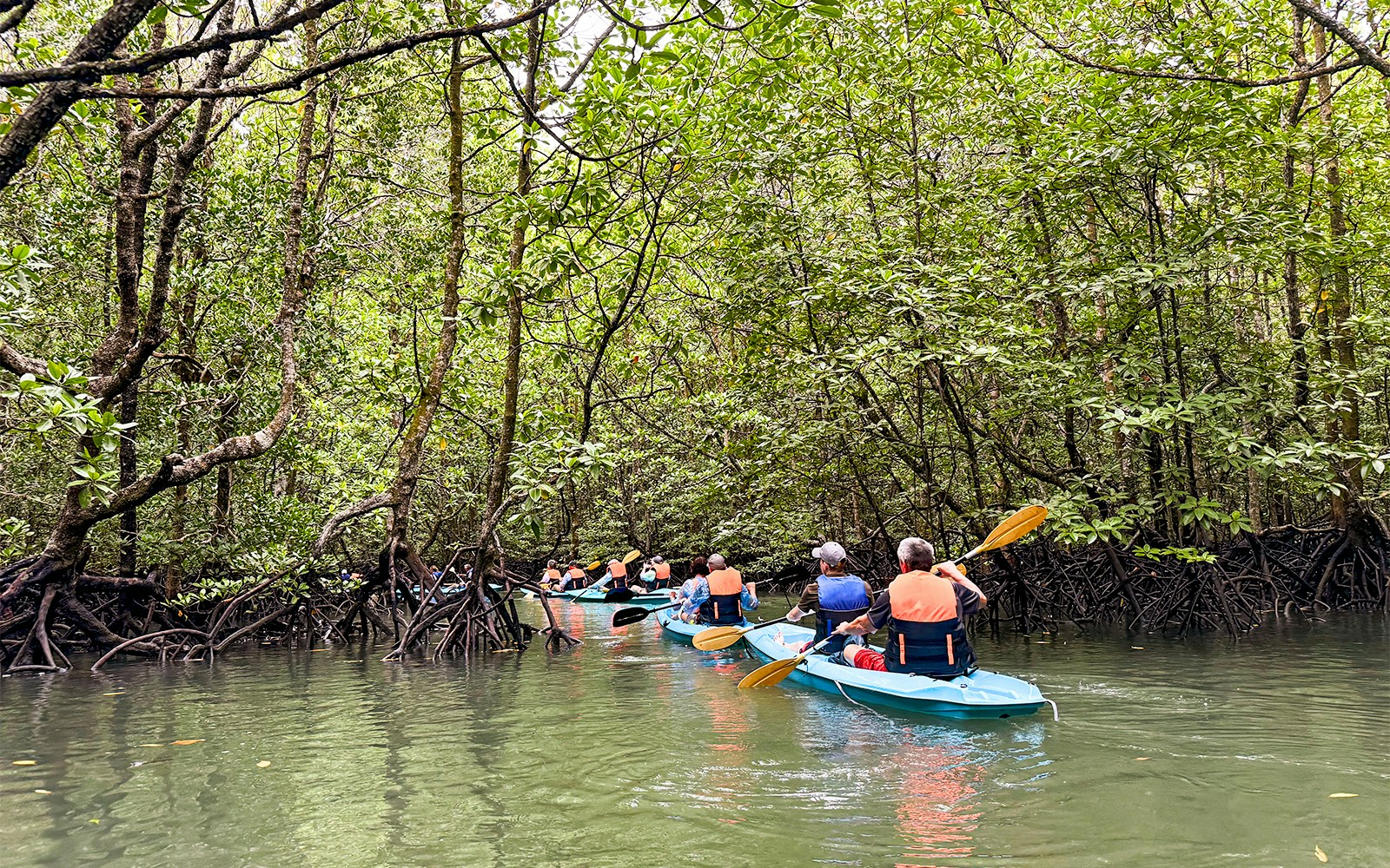 Kayakers paddling through Kilim Geoforest Park mangroves on a rainy day in Langkawi.