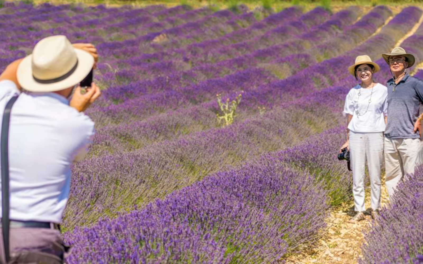 Couple posing in a lavender field during a full day tour, with a photographer capturing the moment.