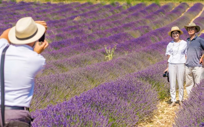 Couple posing in a lavender field during a full day tour, with a photographer capturing the moment.