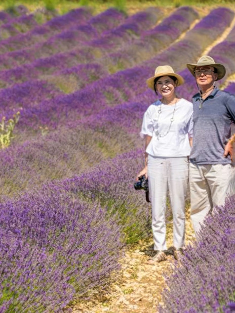 Couple posing in a lavender field during a full day tour, with a photographer capturing the moment.