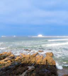 Praia de Matosinhos