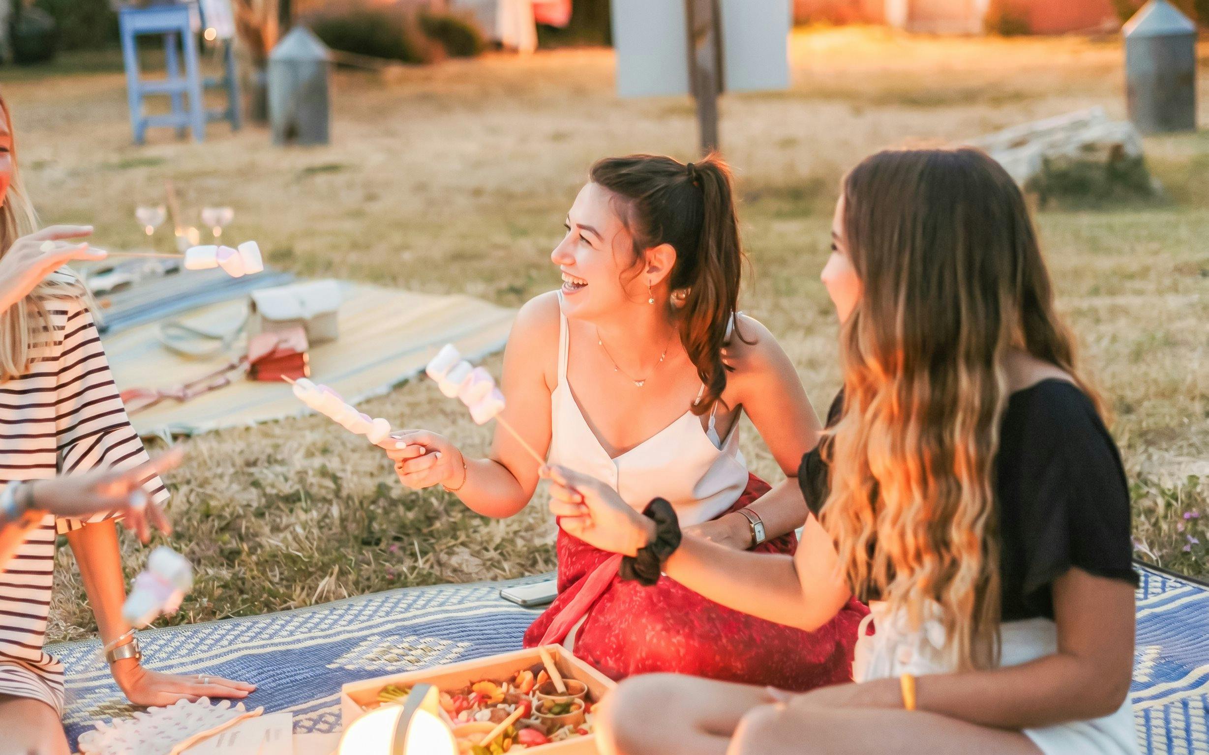 People enjoying marshmallows on a picnic during Lavender Tours in Terre Ugo, Provence.
