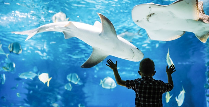 Sunshine Aquarium