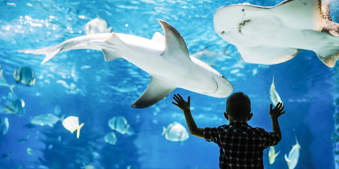 Sunshine Aquarium