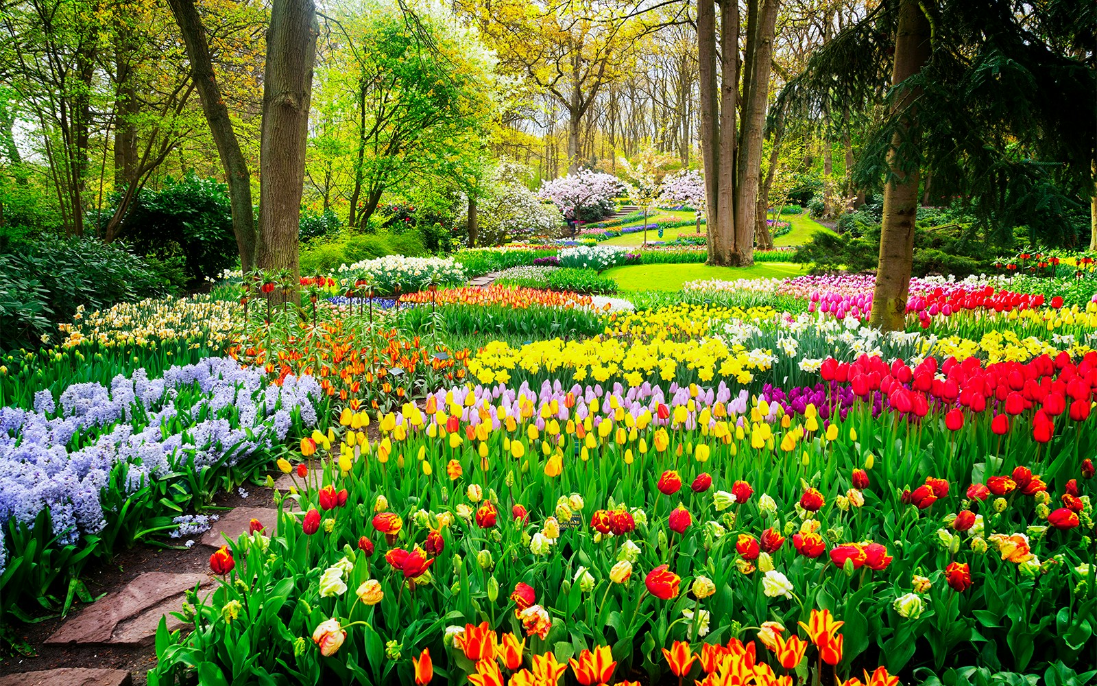 Visitors exploring the vibrant tulip fields at Keukenhof Gardens, Netherlands, a popular day trip tour destination