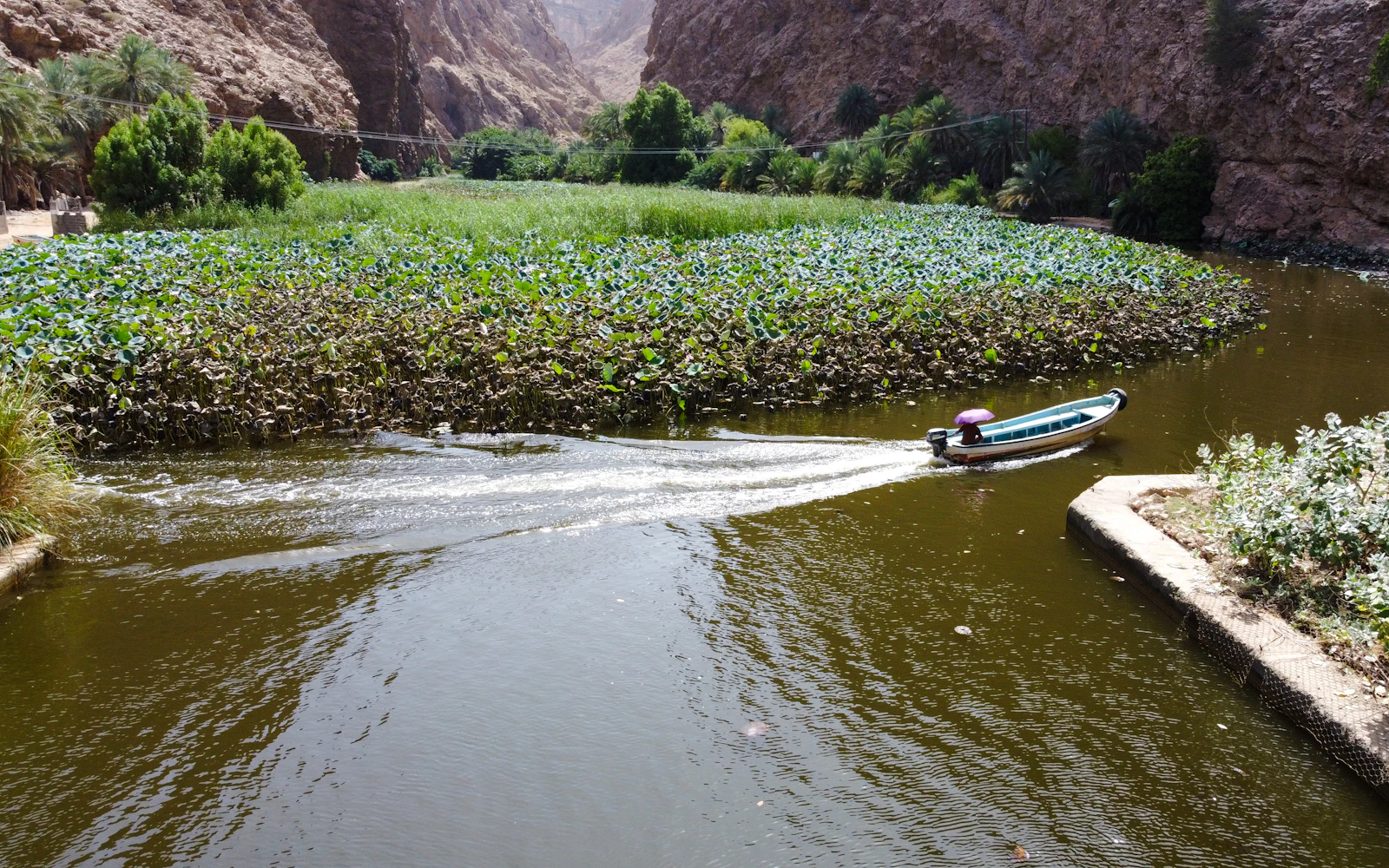 Self-Drive Wadi Shab Guided Hike and Swim Tour (Product 56390)