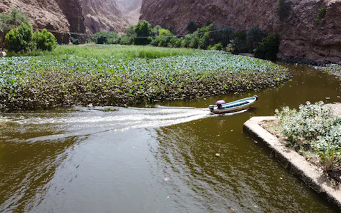 Boat navigating through lush greenery and rocky cliffs at Wadi Shab, Oman.