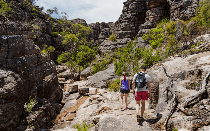 Hikers exploring rocky terrain in the Grand Canyon with lush greenery.