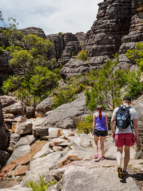 Hikers exploring rocky terrain in the Grand Canyon with lush greenery.