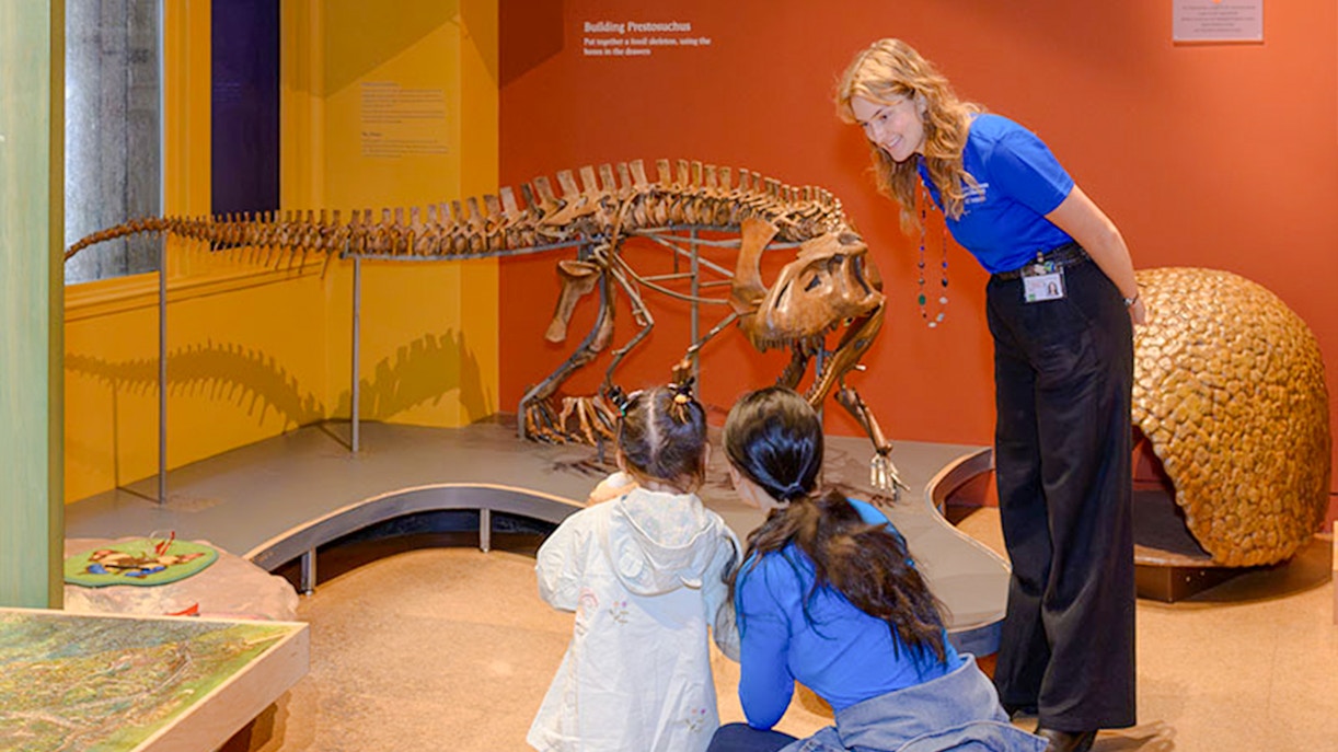 Children exploring exhibits in the American Museum of Natural History Discovery Room, New York City.