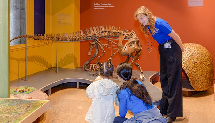 Children exploring exhibits in the American Museum of Natural History Discovery Room, New York City.