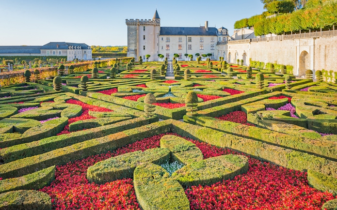 Ornamental Garden at Château of Villandry with intricate hedges and vibrant flowers.